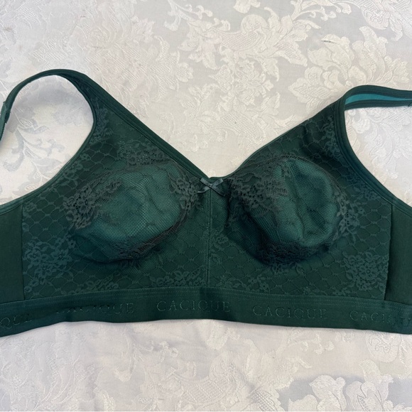 Cacique Bra Size 40D Unlined Full Coverage No‎ Wire Green Lace Stained - Picture 11 of 11